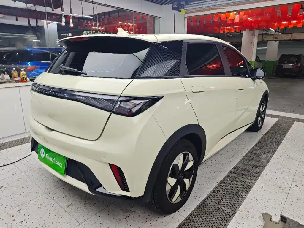 BYD Dolphin 420km Freedom Edition 2025 — фото 7