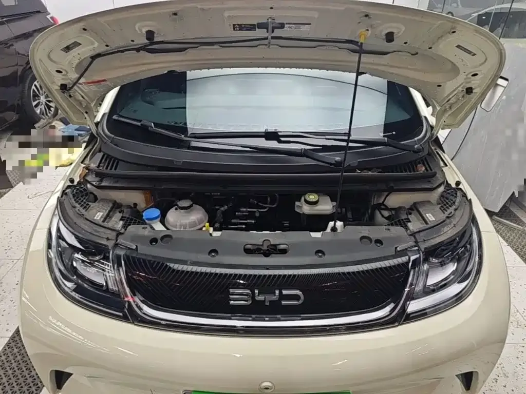 BYD Dolphin 420km Freedom Edition 2025 — фото 20