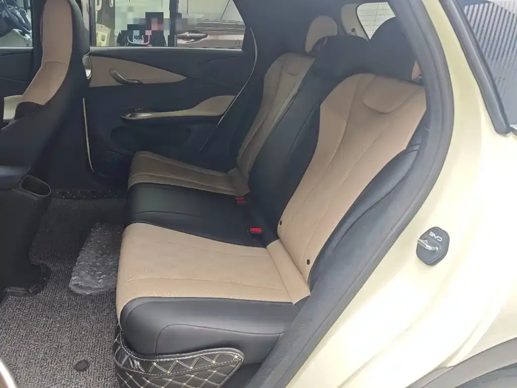 BYD Dolphin 420km Freedom Edition 2025 — фото 17