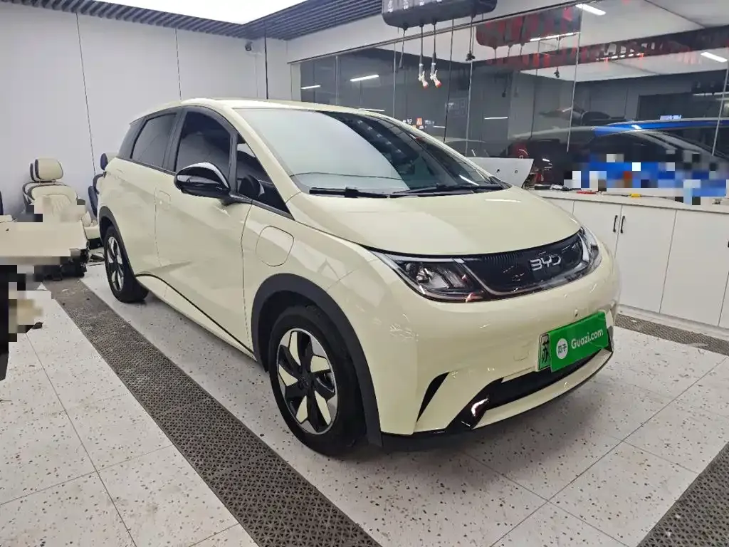 BYD Dolphin 420km Freedom Edition 2025 — фото 4