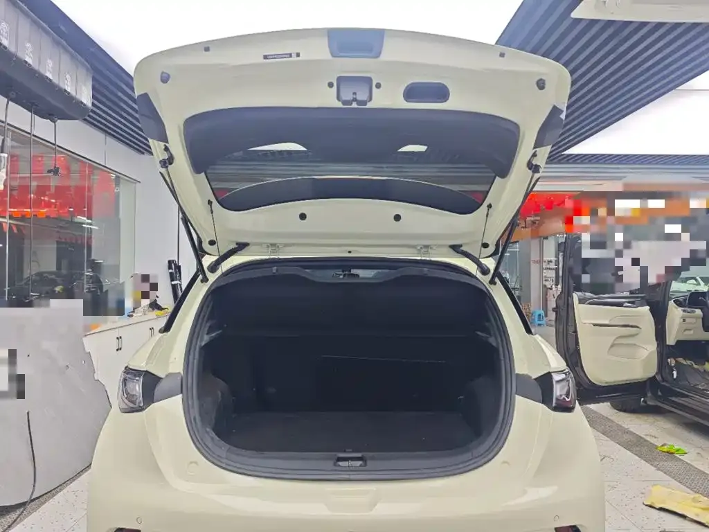 BYD Dolphin 420km Freedom Edition 2025 — фото 19
