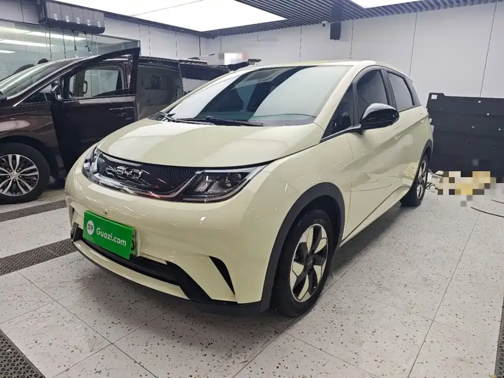 BYD Dolphin 420km Freedom Edition 2025