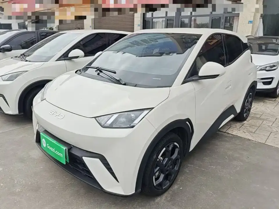 BYD Seagull 305km Freedom 2024