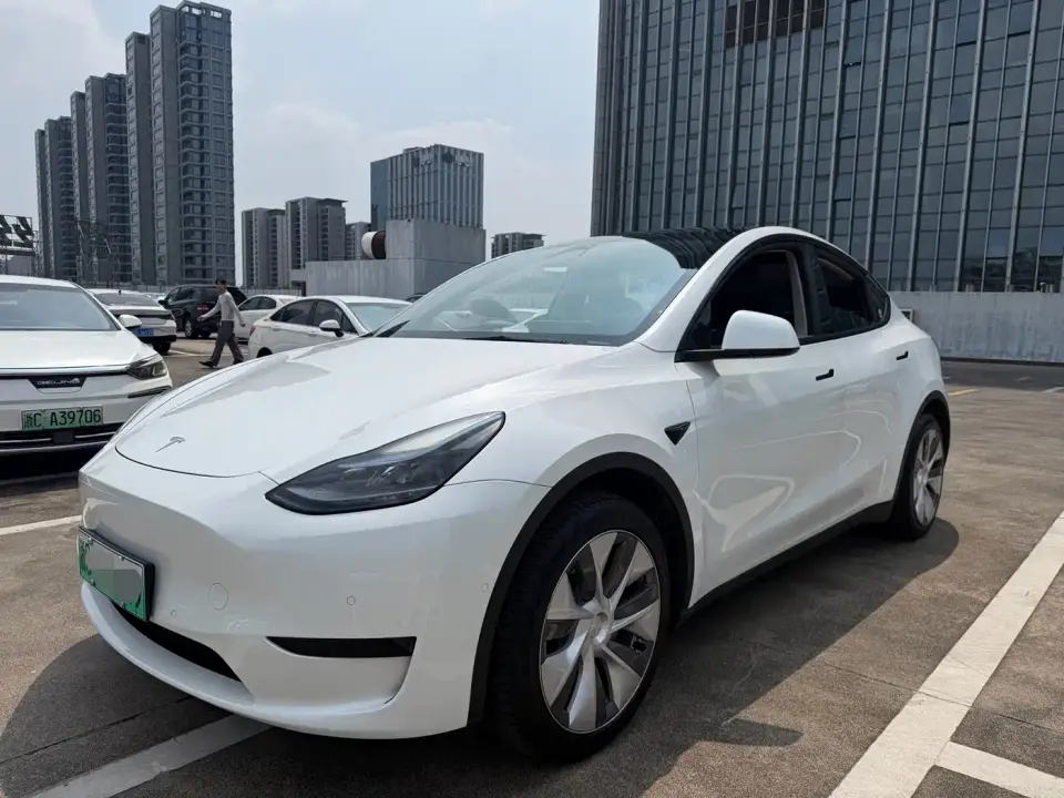 Tesla Model Y Rear-Wheel Drive Version 2022