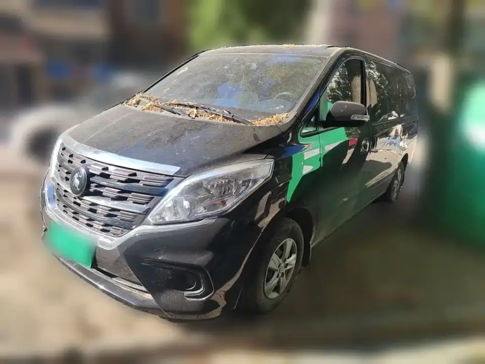 Dongfeng Fengxing Lingzhi PLUS 1.5T Manual Comfort 9-Seater 2024
