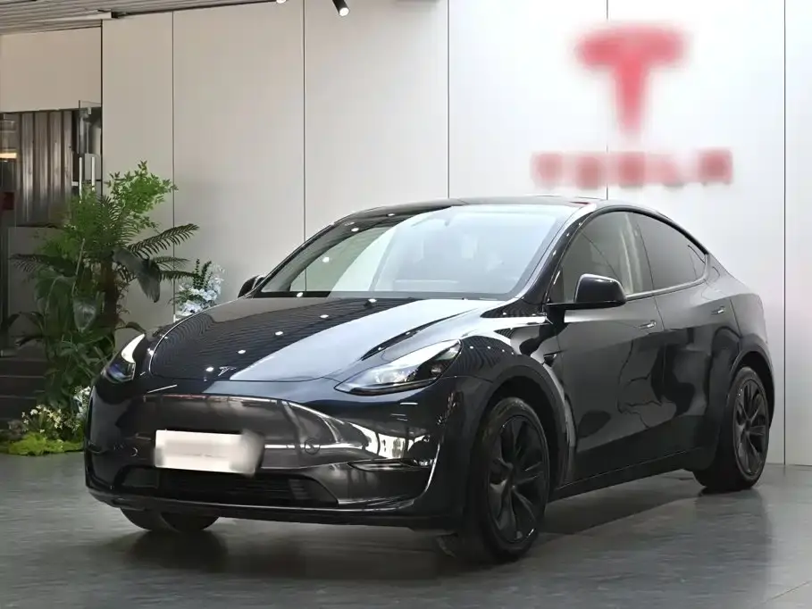Tesla Model Y Long Range AWD 2024