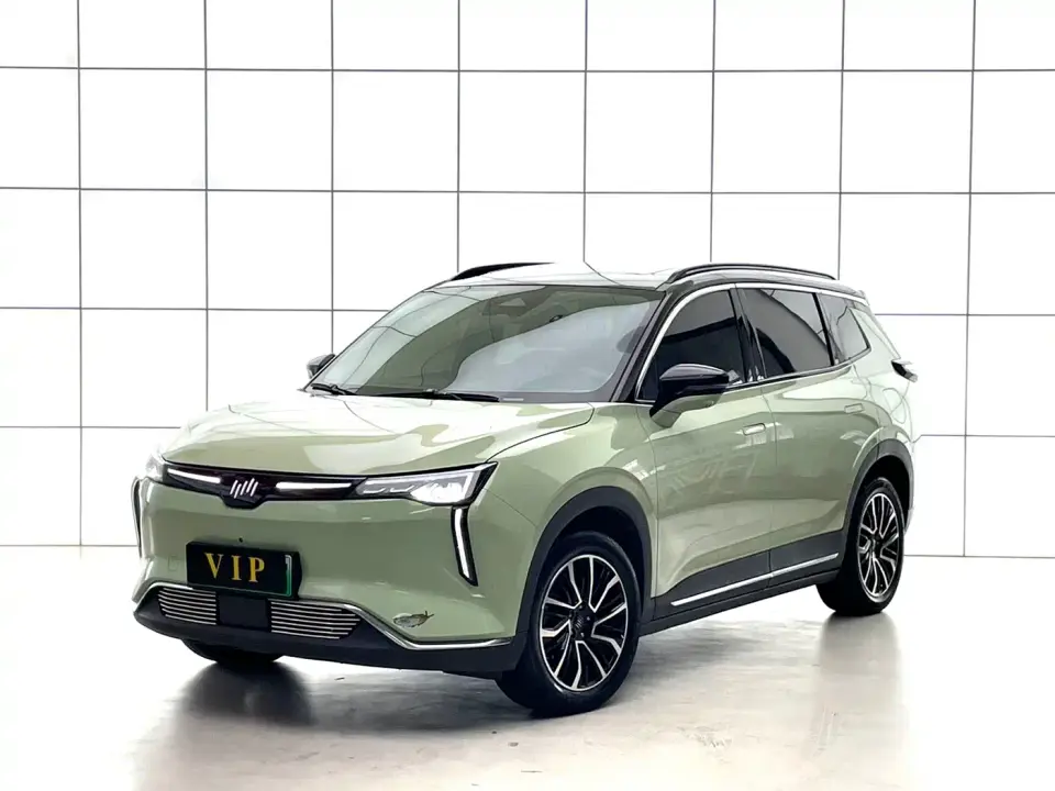 Weltmeister W6 520km PRO All-round Edition 2022