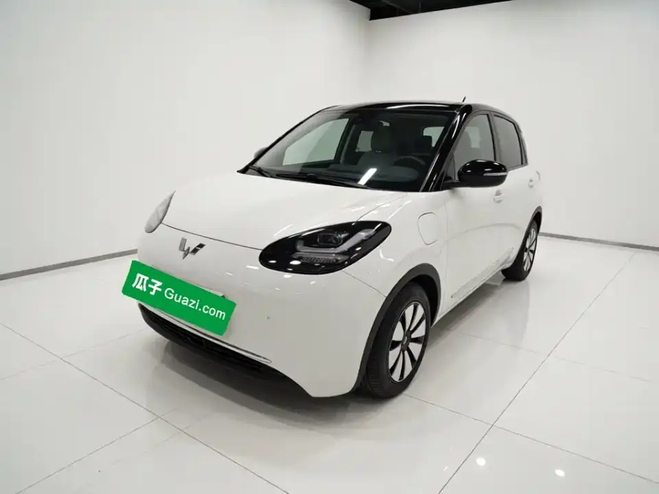 Wuling Motors Wuling Bingo 333km Joyful Version 2023