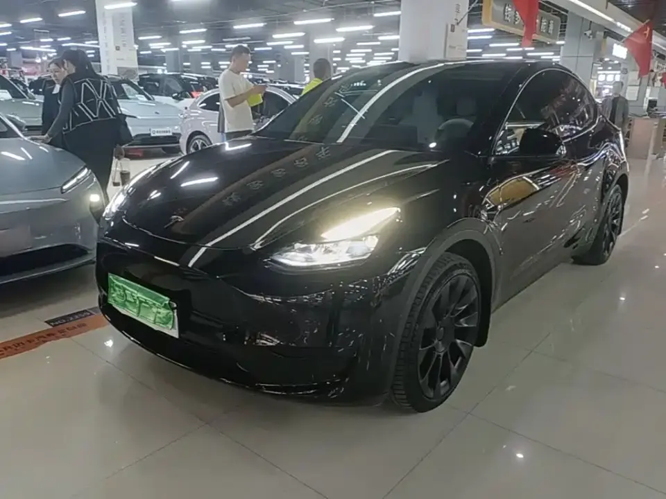 Tesla Model Y Rear-Wheel Drive Version 2024