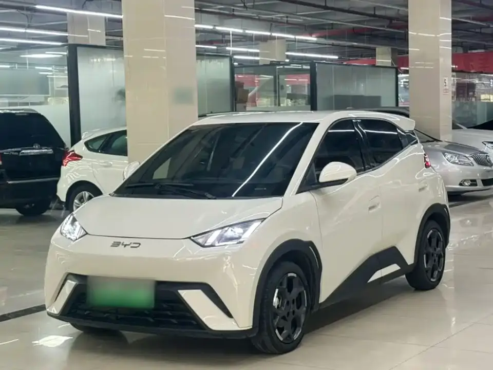 BYD Seagull Glory Edition 305km Freedom Edition 2024