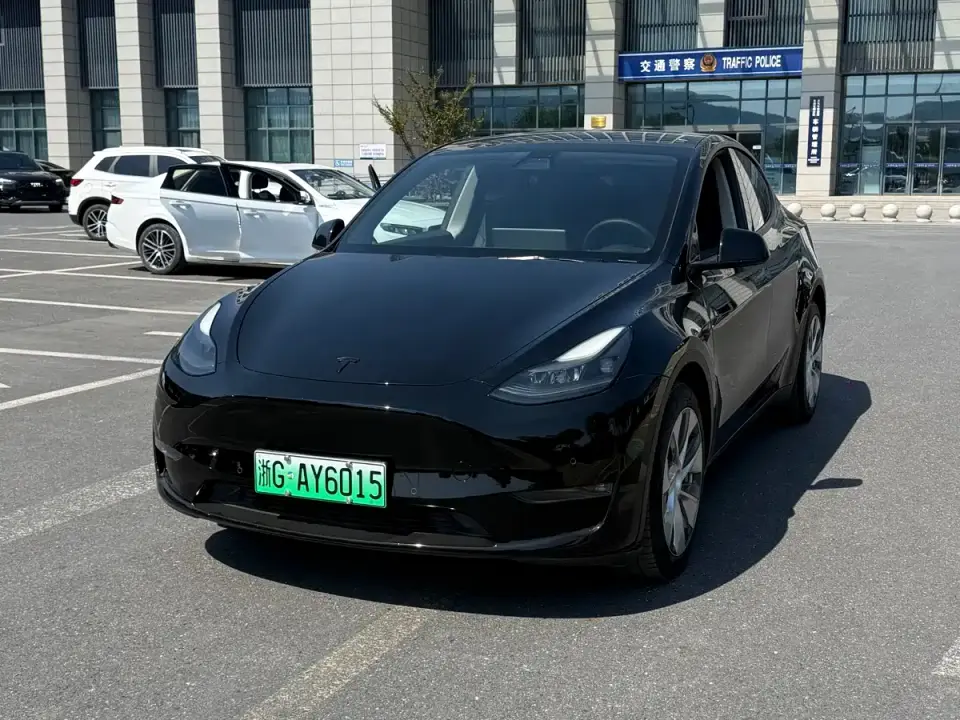 Tesla Model Y Model Long Range AWD 2021