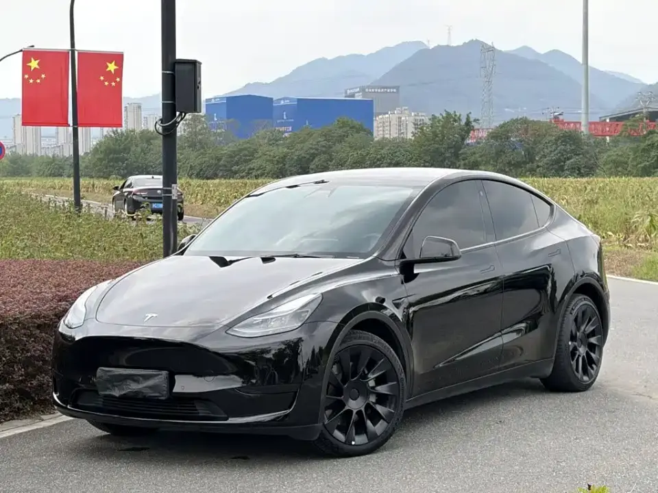 Tesla Model Y Rear-Wheel Drive Version 2022