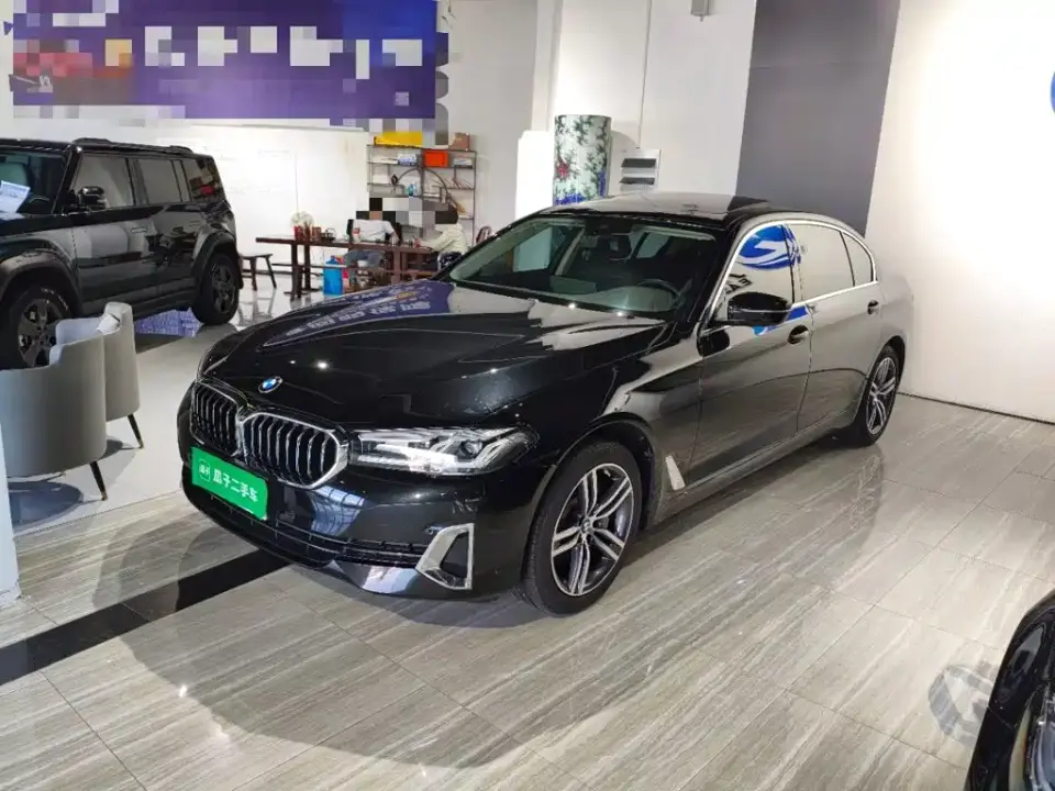 BMW 5 Series 530Li Leading Luxury Package 2020