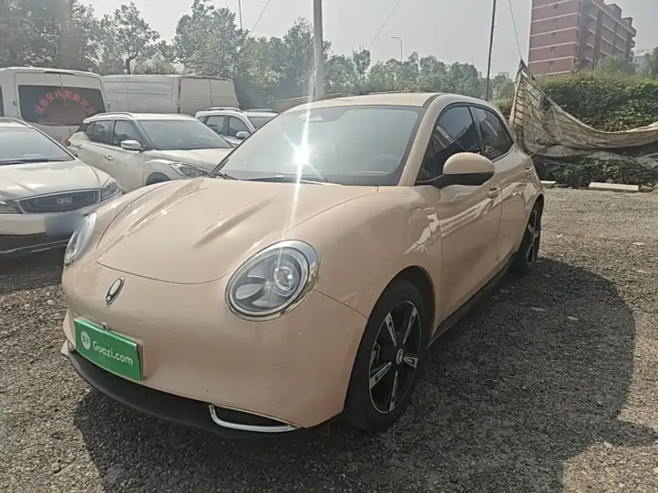 ORA Good Cat 401km Luxury 2024
