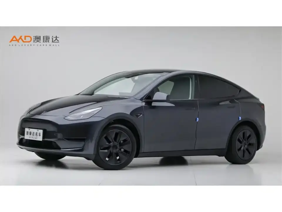 Tesla Model Y Rear-Wheel Drive Version 2024