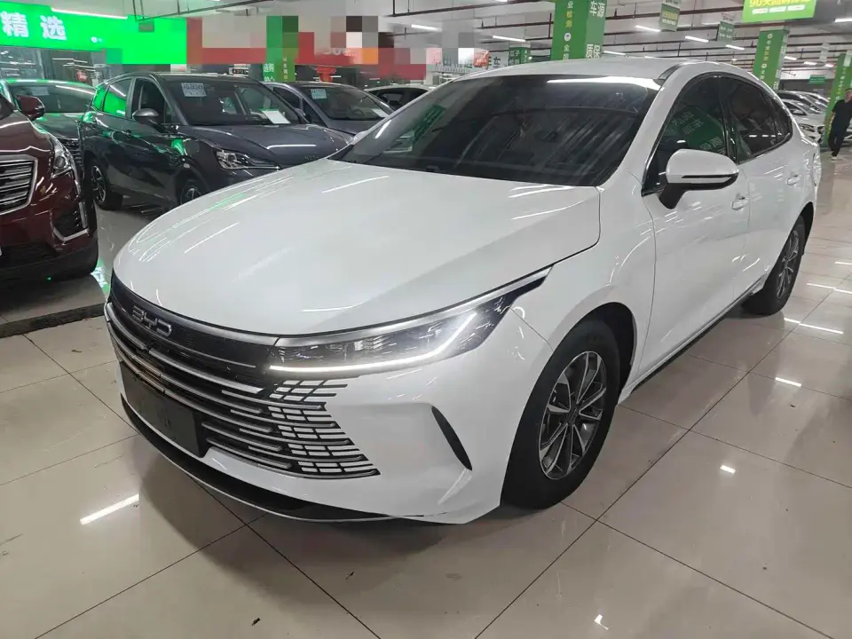 BYD Destroyer 05 Glory Edition DM-i 55KM Luxury 2024