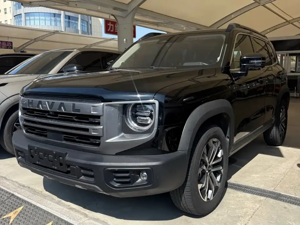 Haval Big Dog 1.5T DCT Border Collie Edition 2024