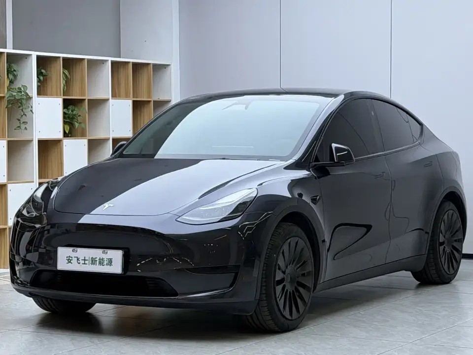 Tesla Model Y Rear-Wheel Drive Version 2024