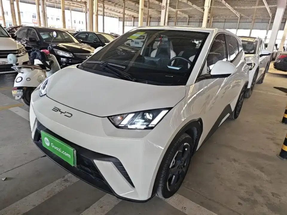 BYD Seagull Freedom Edition 2023