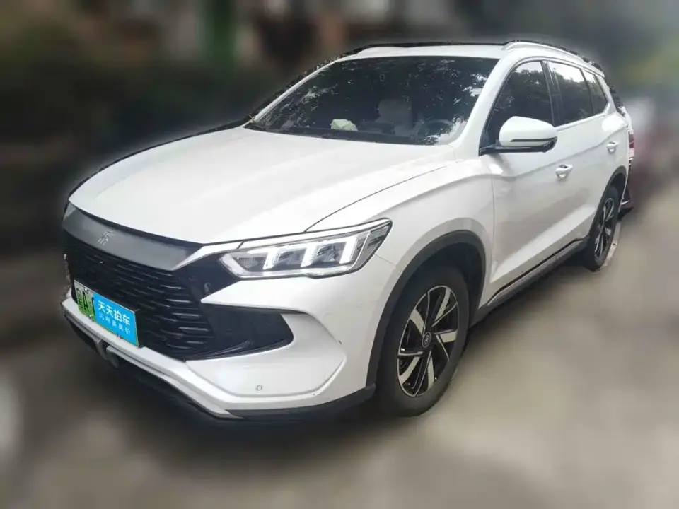 BYD Song Pro New Energy Glory Edition DM-i 71KM Pilot 2024