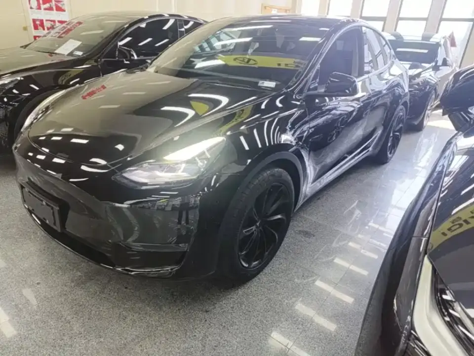 Tesla Model Y Standard Range Rear-Wheel Drive 2021