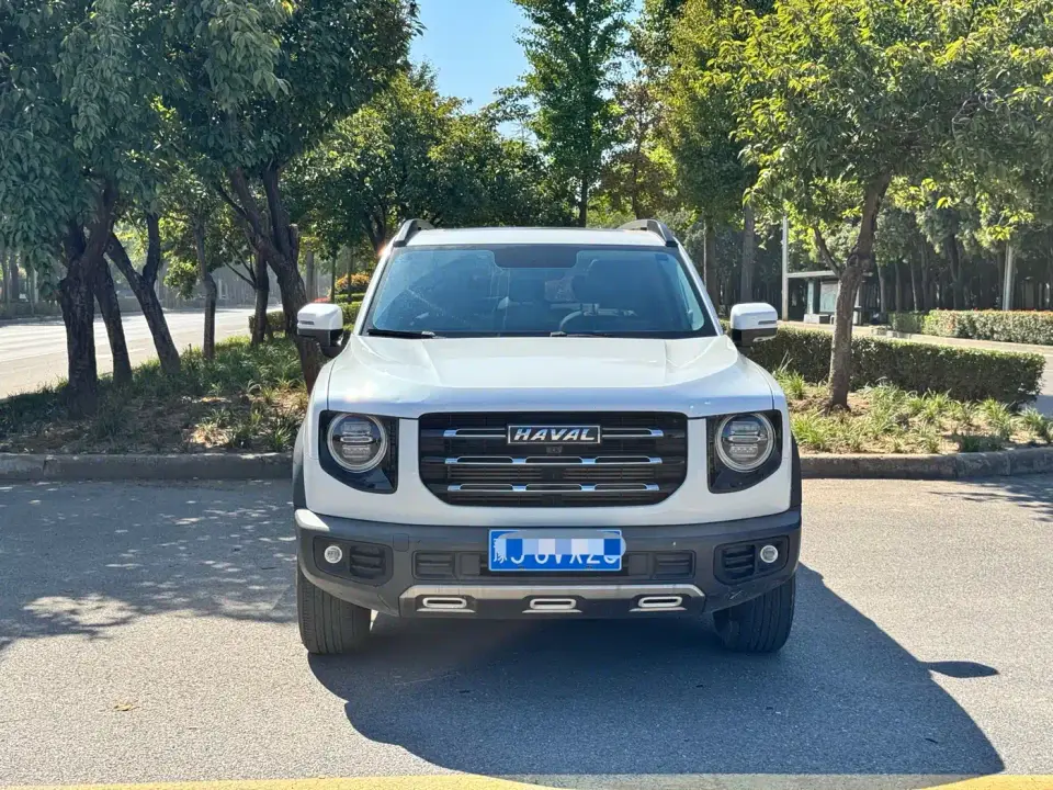 Haval Big Dog 1.5T DCT 2WD Border Collie Edition 2021