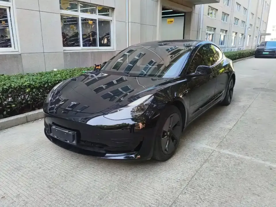 Tesla Model 3 Standard Range Rear-Wheel Drive Upgrade 3D6 2021