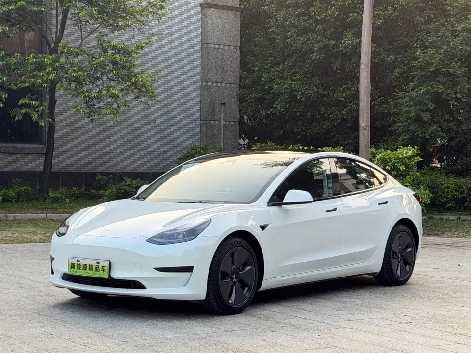 Tesla Model 3 Standard Range Rear-Wheel Drive Upgrade 3D6 2022