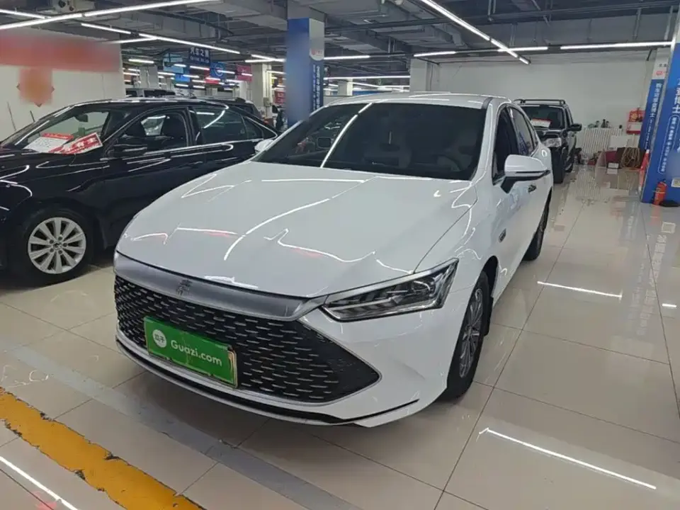 BYD Qin PLUS Glory Edition DM-i 55KM Leading 2024