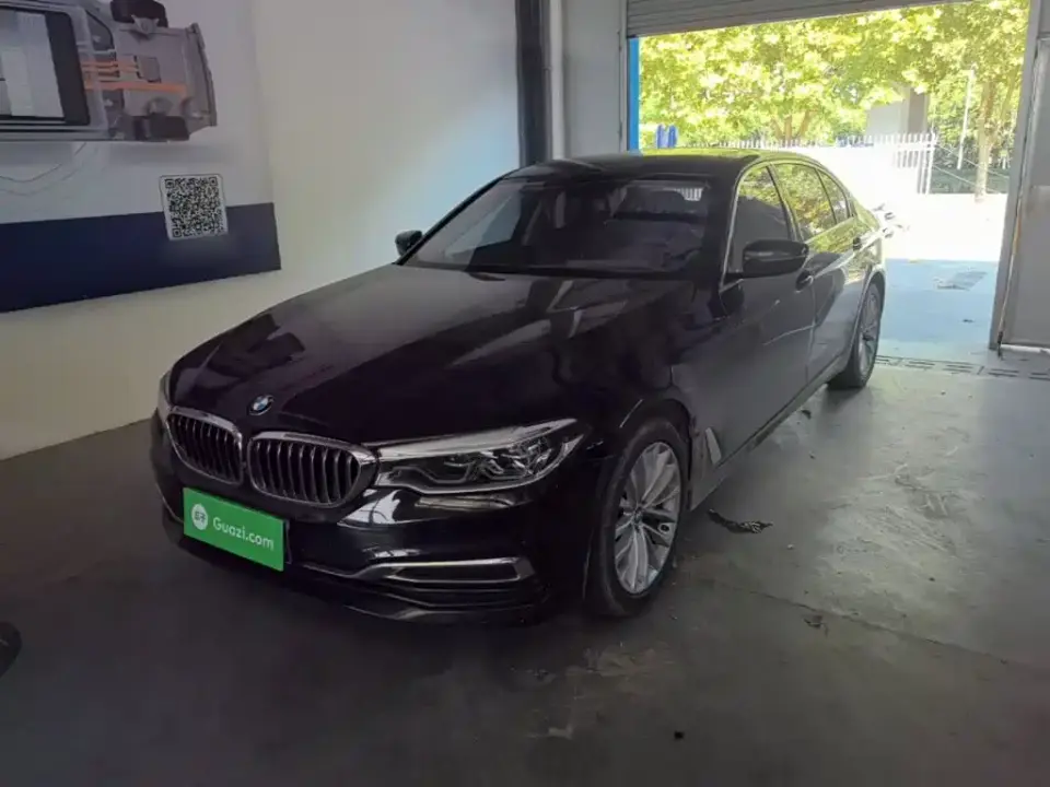 BMW 5 Series 530Li Premium Luxury Package 2020