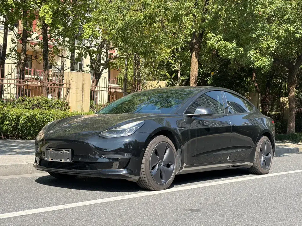 Tesla Model 3 Long Range Rear-Wheel Drive 2020