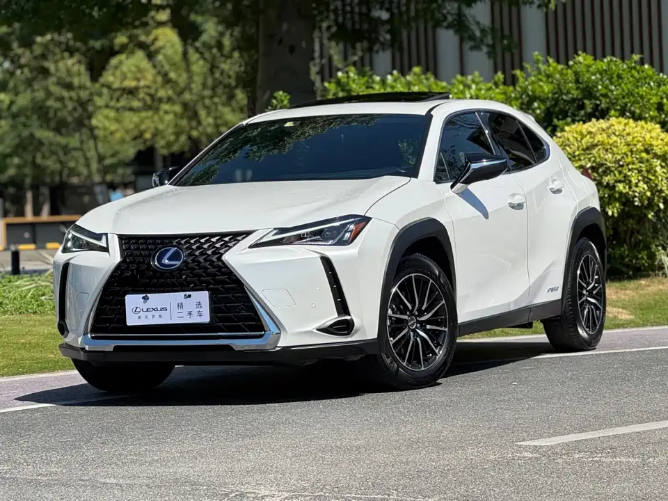 Lexus UX 260h Explore Fun Edition China VI 2019