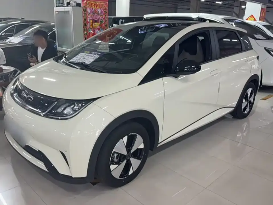 BYD Dolphin 420km Fashion Edition 2023