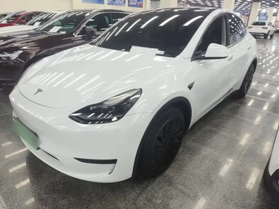 Tesla Model Y Rear-Wheel Drive Version 2022