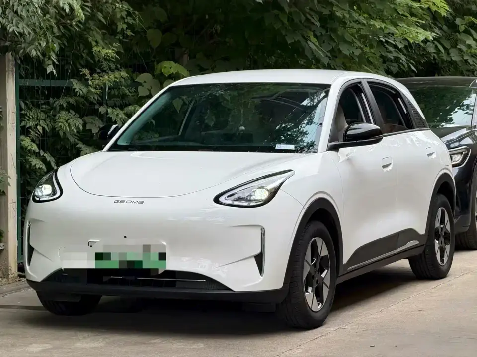 Geely Galaxy Starry Wish 310km Dream Edition 2025
