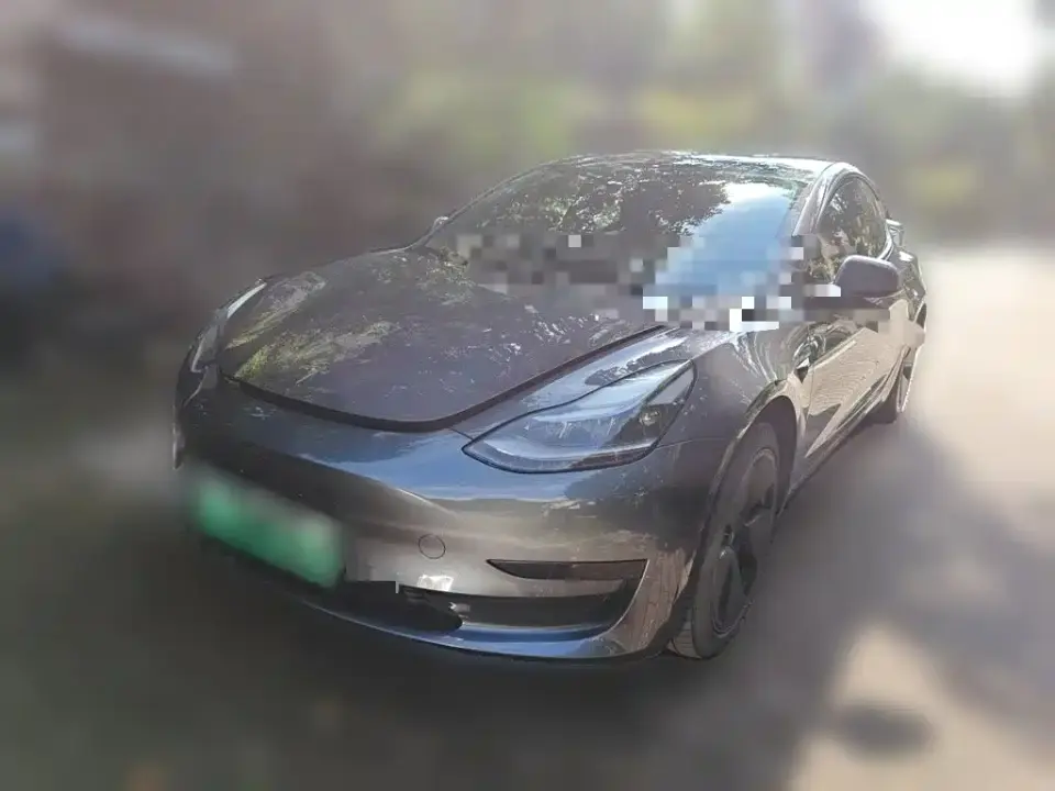 Tesla Model 3 Facelift Standard Range RWD Upgrade 3D1 2021