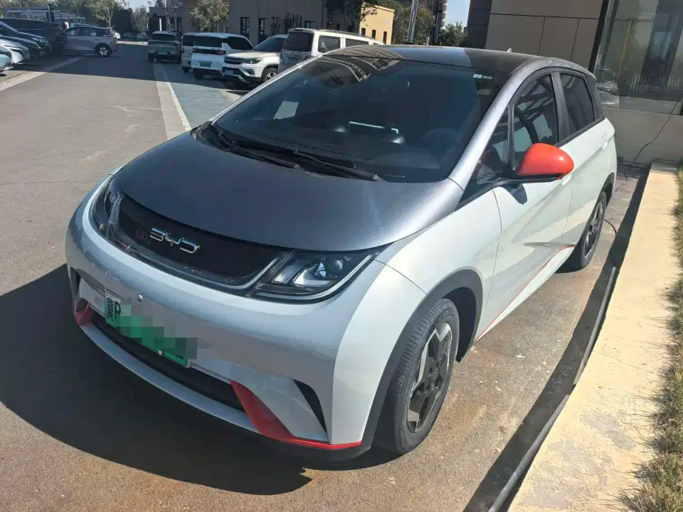 BYD Dolphin Model 405km Fashion Edition 2022