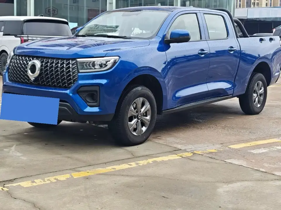 Great Wall Pao Model 2.4T Commercial Version Automatic Diesel 4WD Elite Type 2024