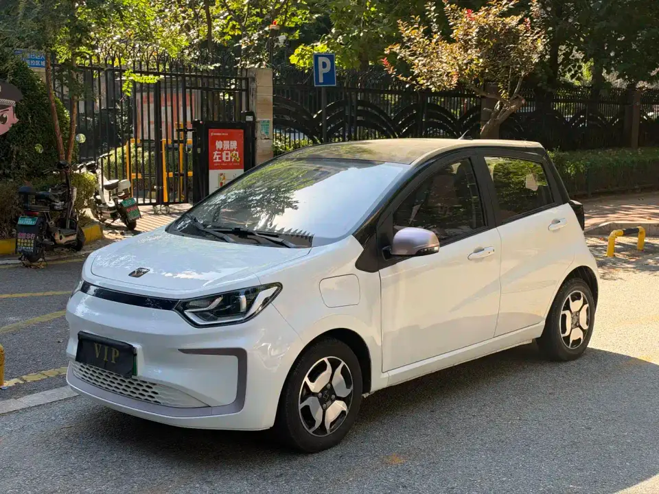 Sehol Flower Fairy 302km Luxury 30.2kWh 2021