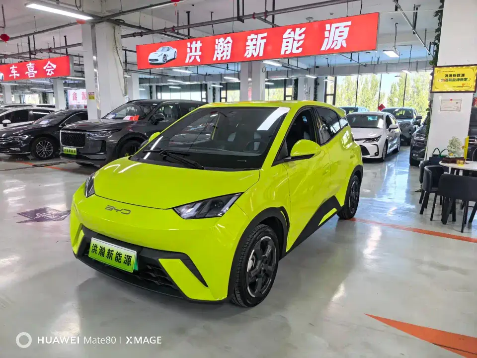 BYD Seagull Flying Edition 2023