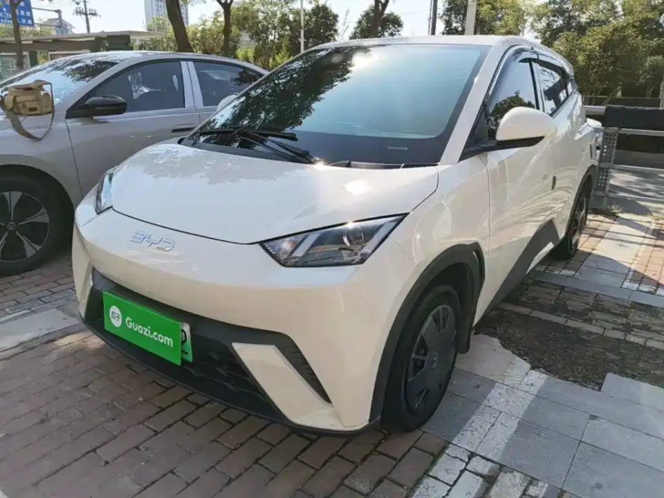 BYD Seagull Glory Edition 305km Vitality Edition 2024