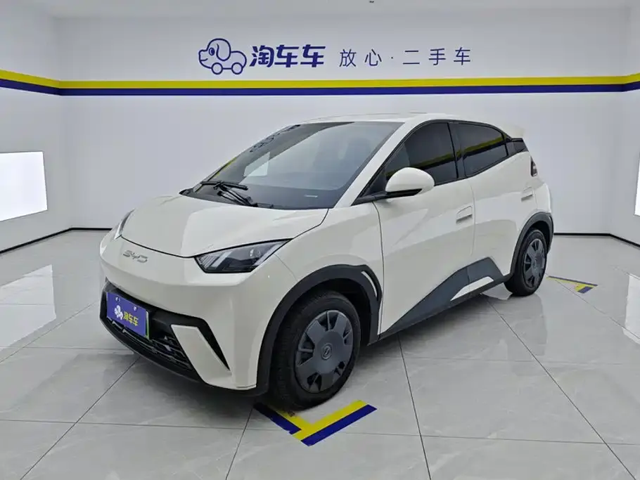 BYD Seagull Vitality Edition 2024