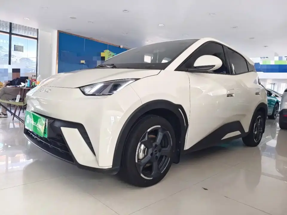 BYD Seagull Glory Edition 305km Freedom Edition 2024