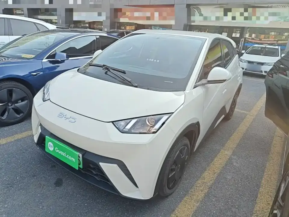 BYD Seagull Vitality Edition 2024