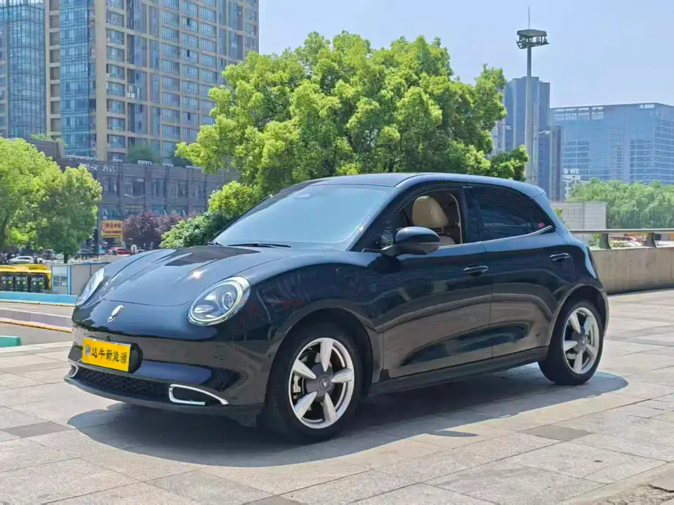 ORA Good Cat 400km Standard Range Athena Edition (NCM) 2021