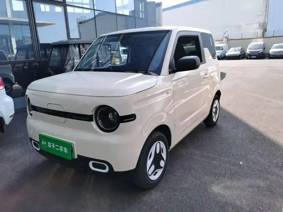 Geely Galaxy Panda Panda mini 210km Vitality Bear 2025