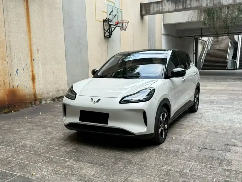 Wuling Motors Wuling Binguo PLUS Model 330km 5-Seater 2025