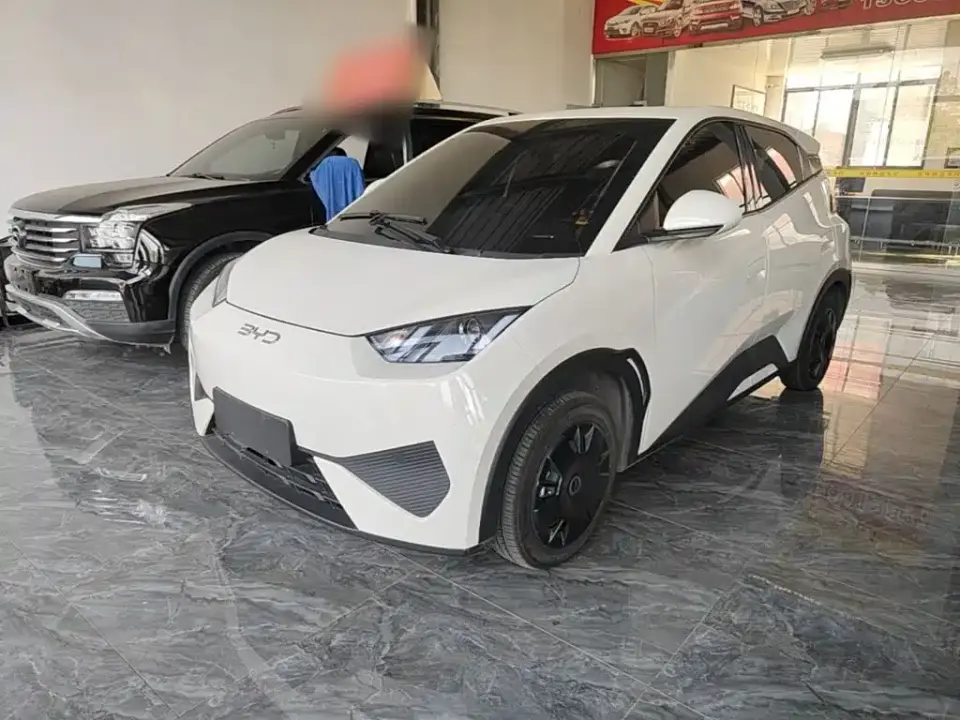 BYD Seagull Smart Drive Edition 305km Vitality Version 2025