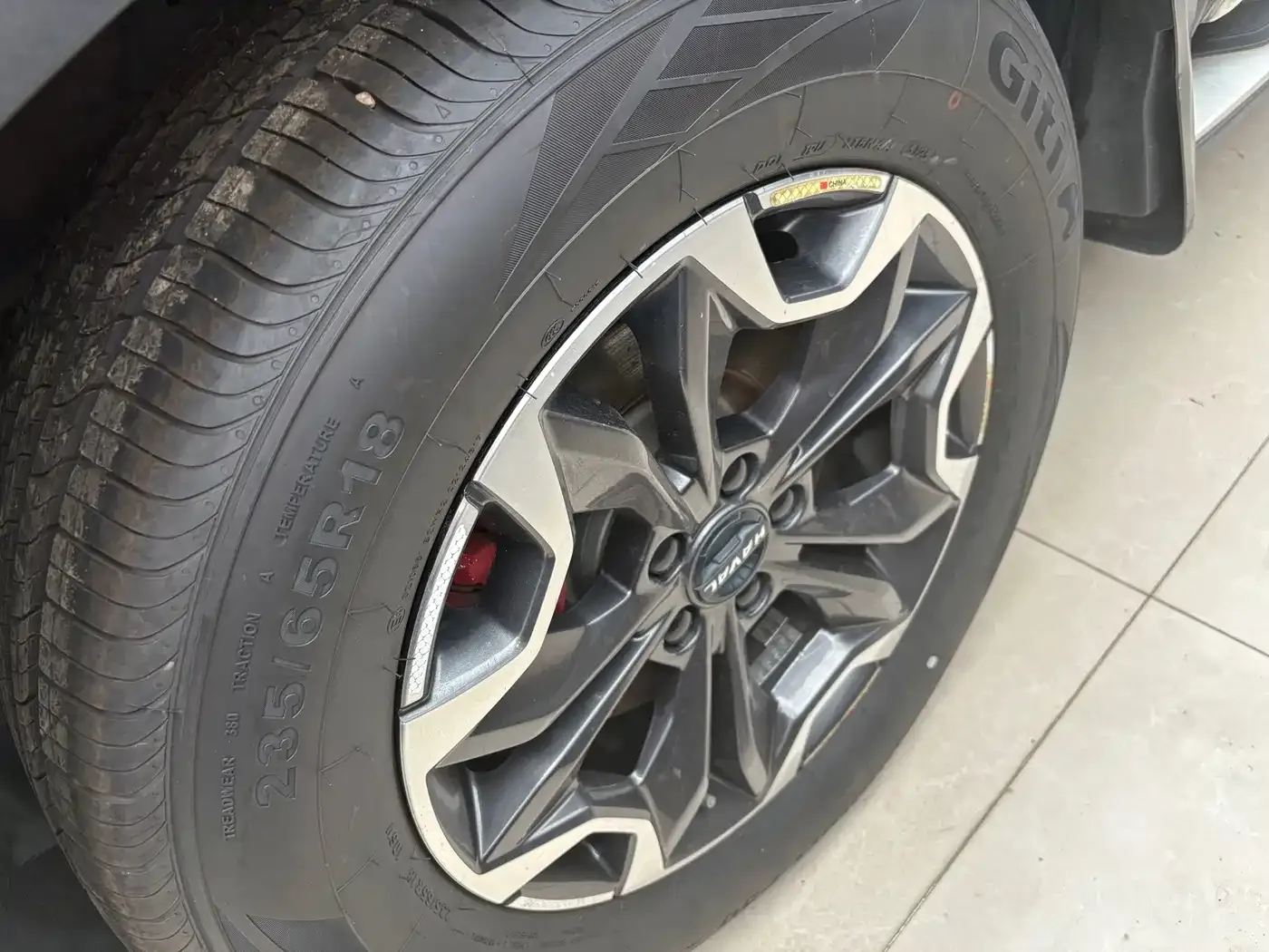Haval Big Dog 2.0T DCT 4WD Chinese Rural Dog Edition 2021 — фото 4