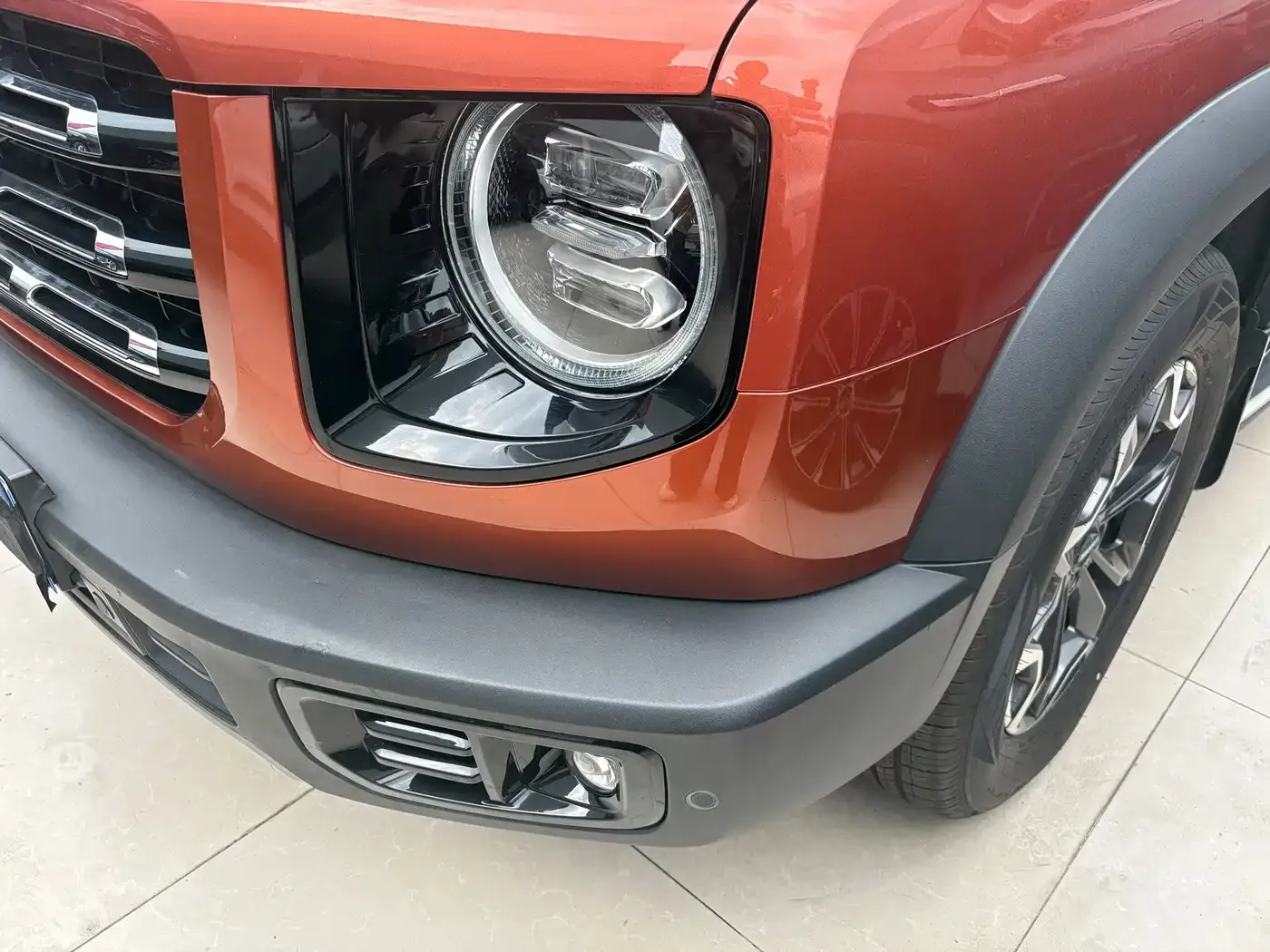 Haval Big Dog 2.0T DCT 4WD Chinese Rural Dog Edition 2021 — фото 3